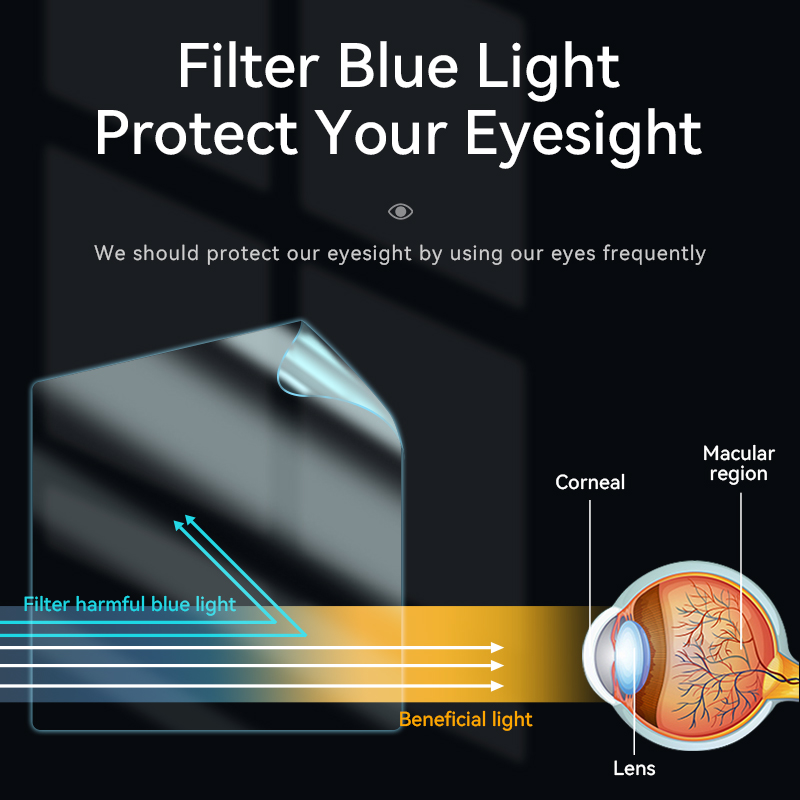 Magnetic Anti Spy Privacy Scre - Monitor Privacy Filter ulasan dan harga